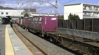 EF65　2091号機　5087レ　貨物列車　平成26年10月28日撮影