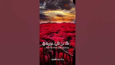 تلاوة خاشعة من سورة القارعة اكتب شيء تؤجر عليه#فيديوهات #دينيه #اسلامية