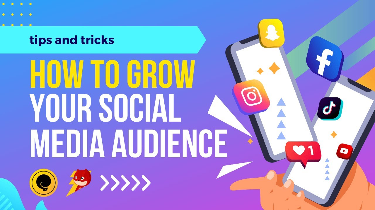 How to Grow Your Social Media Audience - YouTube