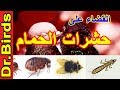 علاج حشرات الحمام والطيور، ذبابة الحمام، فاش الحمام، قمل الحمام، سوس الريش