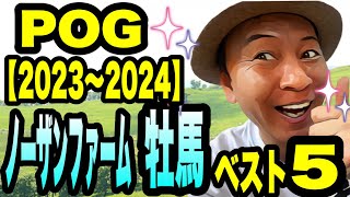 【2023〜2024 POG】ノーザンファーム牡馬編《前年、ソールオリエンス選出》POGほぼ名人の太組不二雄が馬体からベスト5を厳選