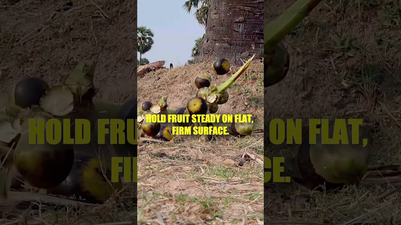 How to eat the inside of PALM fruit #fruit #fruitcutting #nature #garden #gardening