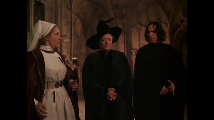 Harry Potter and the Chamber of Secrets - Proffeso...
