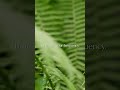 Tune into your frequency. | Chakra Healing Meditation #Shorts