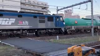 8883レ EF210-150 熊谷〜籠原間通過シーン