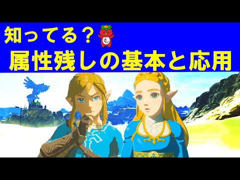 【知らないとヤバイ】カッパが教える属性残しのやり方・コツ　小技のキホンから応用まで　～ゼルダの伝説ブレスオブザワイルド～