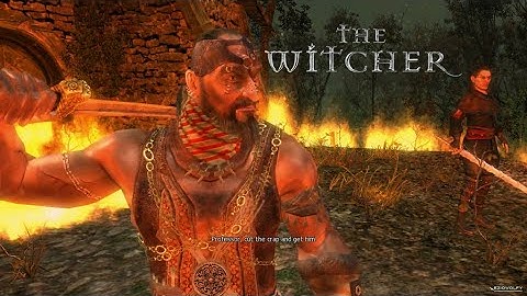 The Witcher - Chapter 2 - A Mysterious Tower