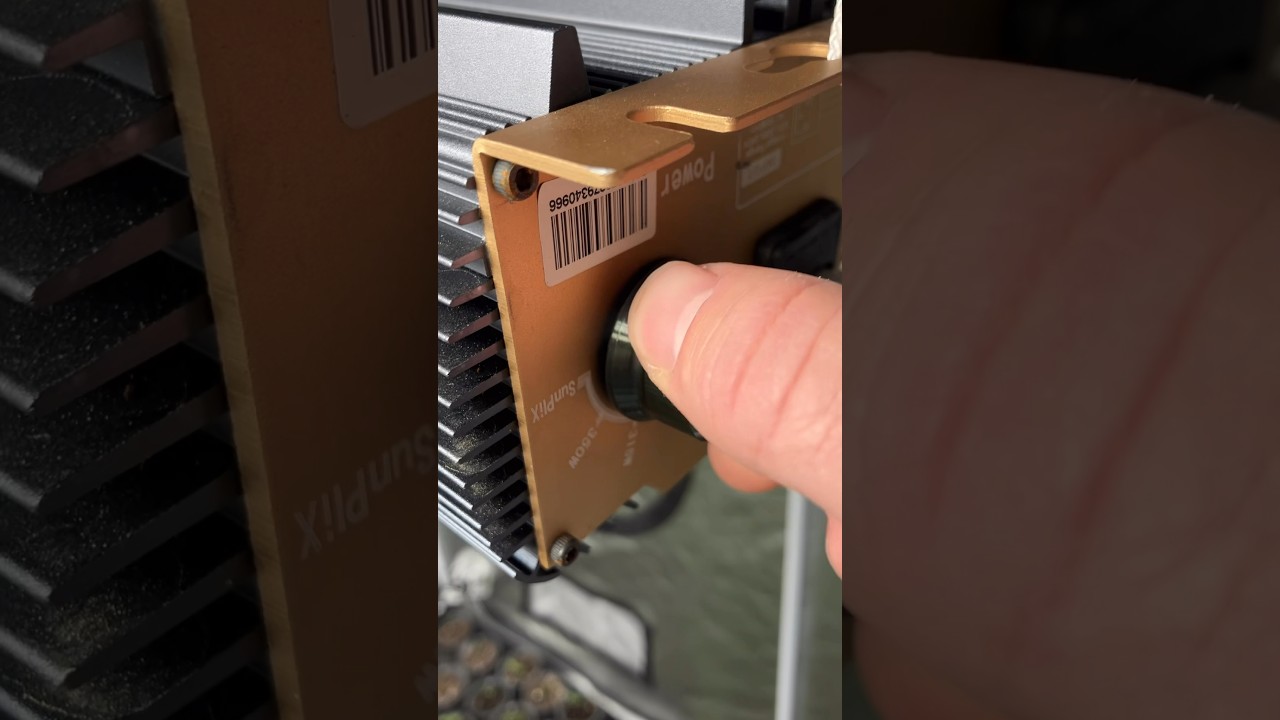 How I Start my Day in the Growroom 