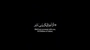 الم اعهد اليكم يا بني ادم الا تعبدوا الشيطان_هزاع البلوشي_سورة يس_قران شاشة سوداء #قران_شاشة_سوداء