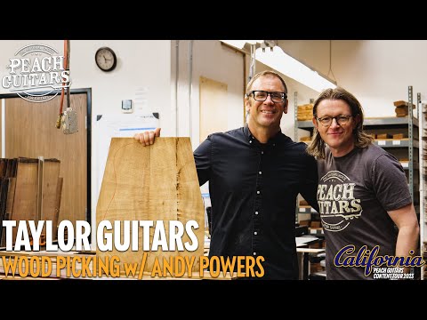 Building The ULTIMATE Taylor Acoustics! | Wood Picking w/ Taylor CEO, Andy Powers!