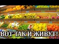 Цены в Севастополе на Продукты Питания! Отдых в Крыму 2021. Гипермаркет Яблоко