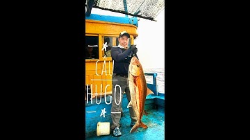 Alo Fishing |CÂU CÁ CAM HUGO| CÂU JIGGING CÁ CAM LỚN| CÂU CÁ CAM LỚN PHÚ YÊN| SLOWJIGGING