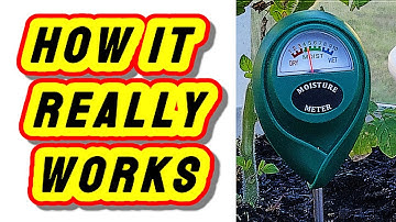 How Do Plant Moisture Meters Work? A Simple Guide