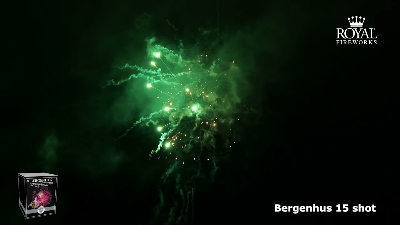 14 2016   Bergenhus 15 shot