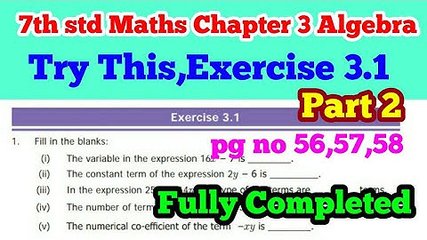 7th std Maths-Unit 3 Algebra - Exercise 3.1 fullyCompleted (pg no 57 to 58) part 2-Term 1 samacheer