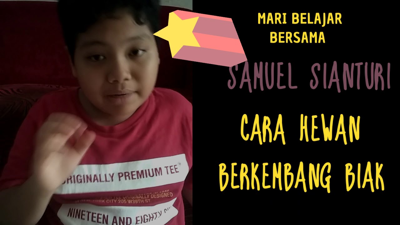  Cara  Hewan  Berkembang Biak YouTube