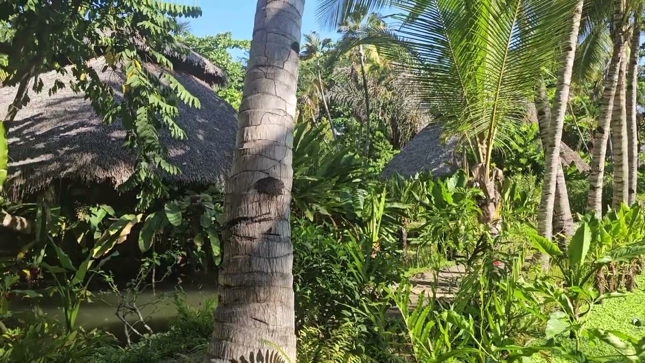 Ravintsara Wellness Hotel - Madagaskar