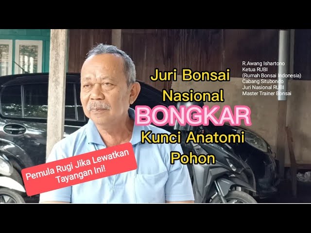 Juri Bonsai Nasional BONGKAR Anatomi Pohon! class=