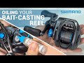 How to Oil Baitcasting Reel?