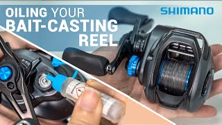 How to Oil Baitcasting Reel?