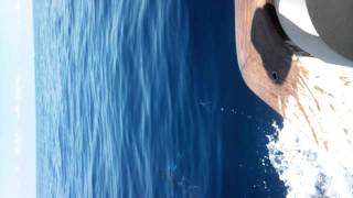 Video062.mp4