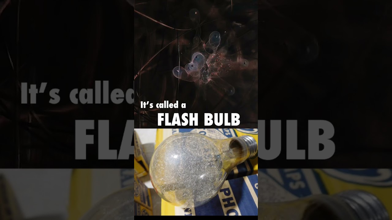 What’s inside a flash bulb 