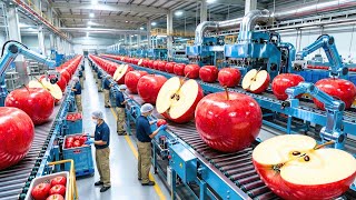 Celebrity INSIDE A HIGH-TECH APPLE PROCESSING PLANT: FROM FRESH APPLES TO JUICE & APPLESAUCE Net Worth