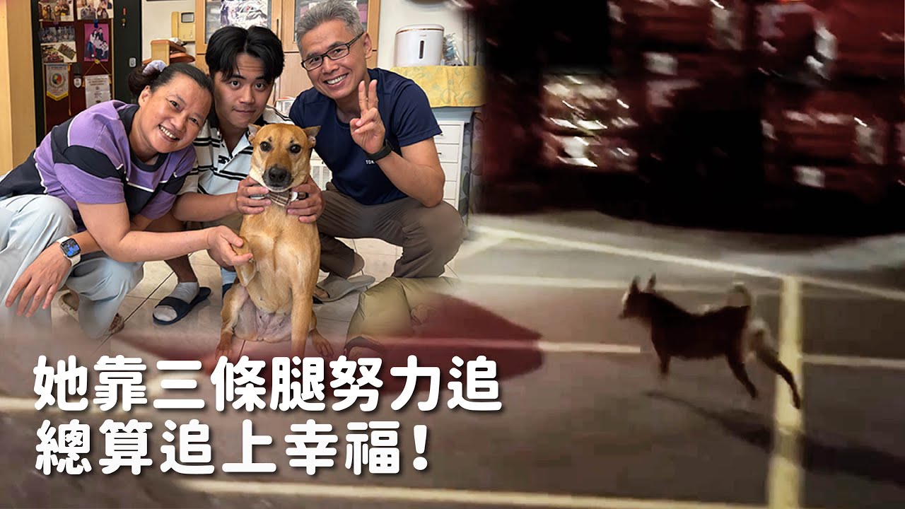 她靠三條腿努力追，總算追上幸福！