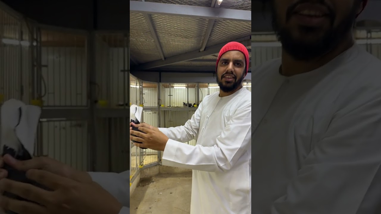 زيارة المربي نايف متخصص في حمام القطيفي