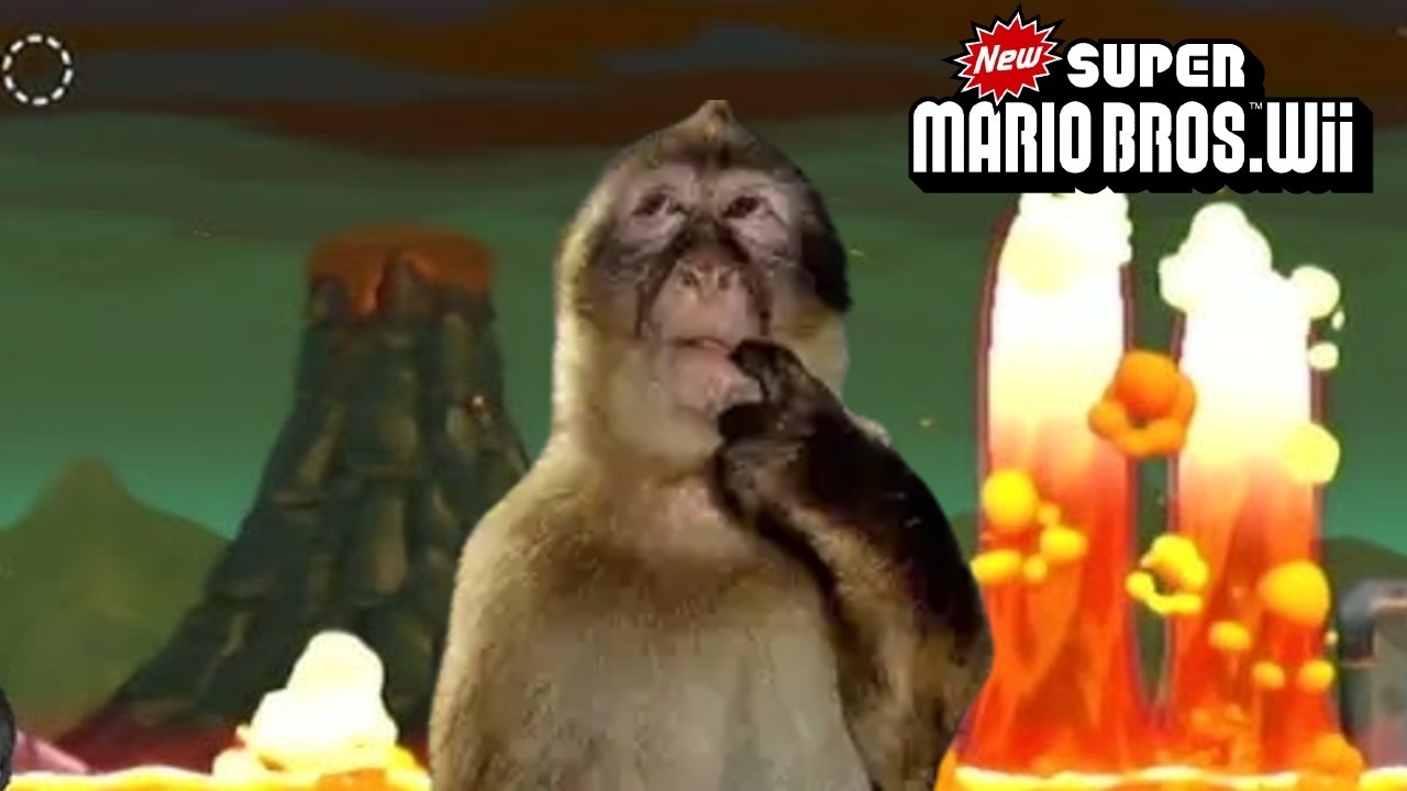 New Super Mario Bros. Wii but everything is completely random