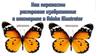 Перевод растрового изображение в векторное