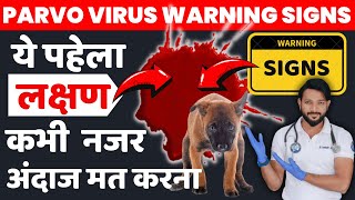 पार्वो वायरस के लक्षण और ईलाज | Parvovirus | Signs |Treatment | For Dogs | Puppies | In Hindi