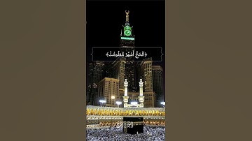 الحج أشهر معلومات -سورة البقرة-القارئ🎙: ماهر المعيقلي-(قرآن كريم)