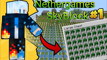 minecraft nethergames skyblock part#1|| working on biggest cactus farm.