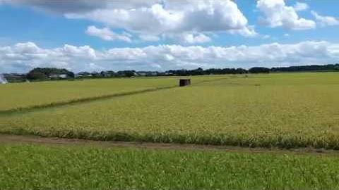 Smooth YAW - DJI Spark