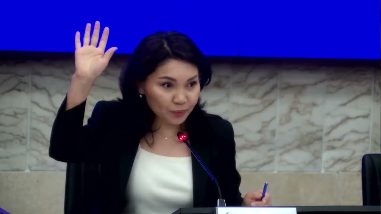 Эл аралык иштер, коргоо, коопсуздук жана миграция боюнча комитетинин жыйыны 02.03.2026