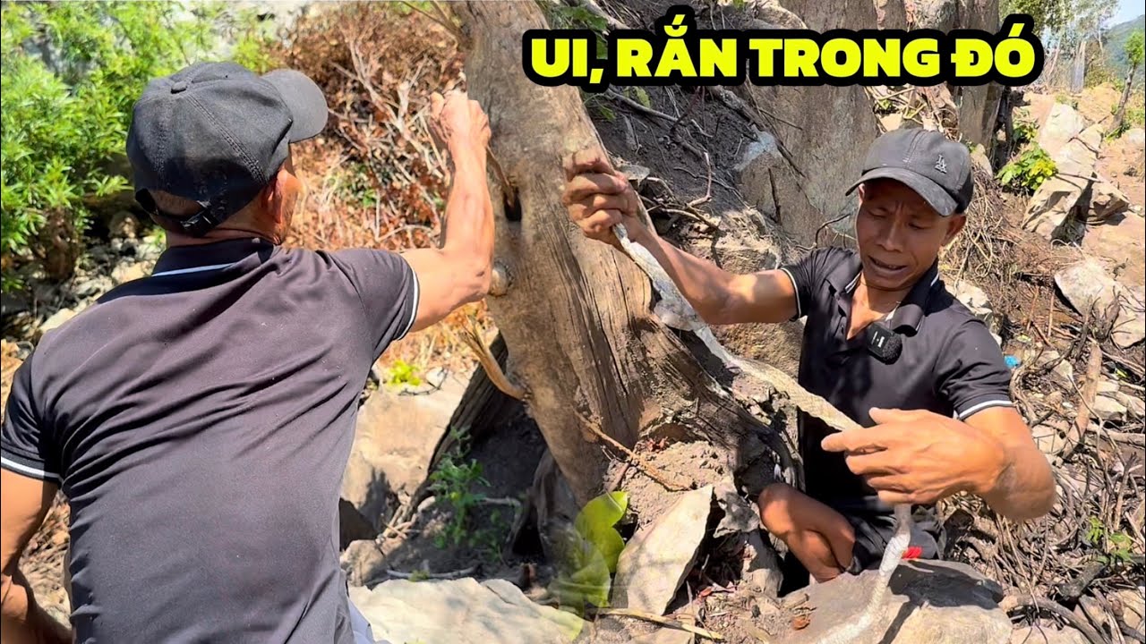 Rắn dưới suối cả đàn luôn, anh cũng không ngờ nhiều đến vậy