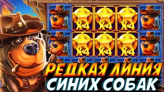 :       DOG HOUSE DOG OR ALIVE!!      **.000.000!!