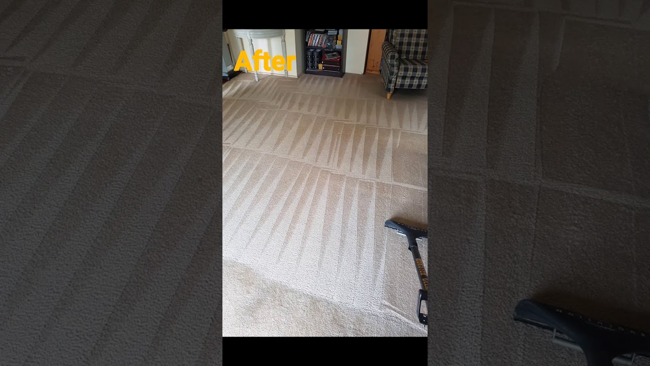 Monster restorative carpet cleaning