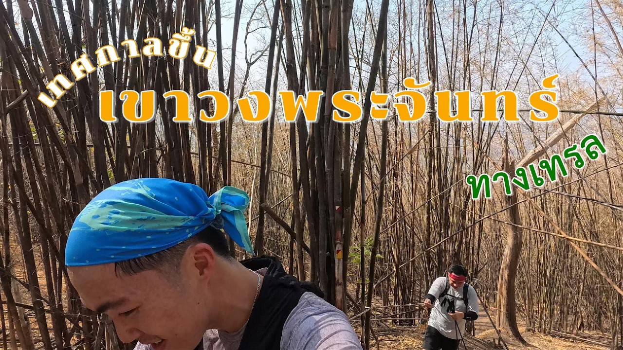 เทศกาลขึ้นเขาวงพระจันทร์ 2569 ขึ้นทางเทรล ลงทางบันได 3790 ขั้น