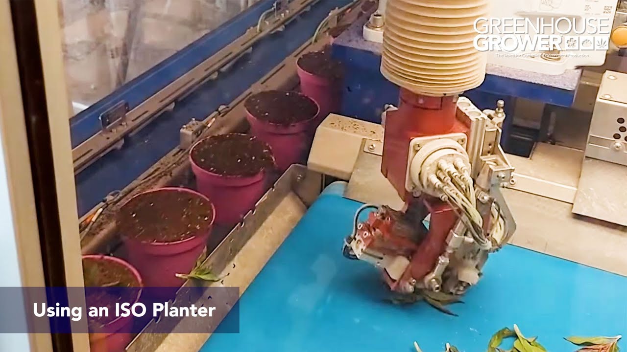 Take a Virtual Video Tour of High-Tech Dutch Greenhouse Ammerlaan-Sosef