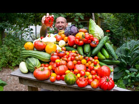 Video: How to choose good strawberry varieties