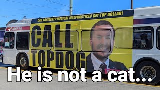 He is not a cat July 13 2026 Top Dog Law radio commercial