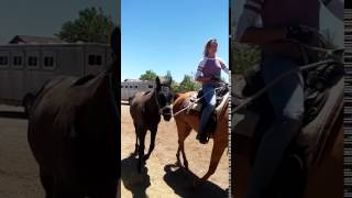 20160712 125604 mp4