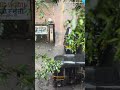 Mumbai monsoon I Best moments I @rajeshkambojfilms #mumbaimonsoon #mumbaifestival #music