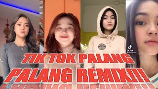 TIK TOK || KUMPULAN TIK TOK PALANG PALANG REMIX!!!