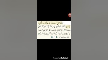ما#### تيسر### من### سورة#### نوح ###بصوت### القارئ ###أبو محمد## الرشيد ###$