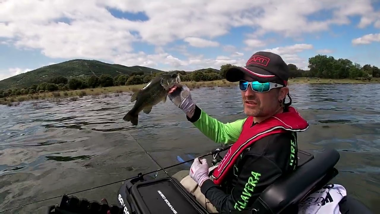 Primavera,basses con fluke