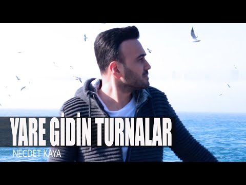 Necdet Kaya - Yare Gidin Turnalar (Akustik Versiyon Video Klip)