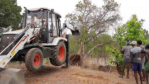 New Powerful JCB Pushing Down A Big Tree | JCB VS BIG TREE | All about Tractors and Jcb